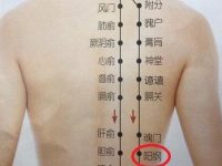 阳纲疼痛怎么回事？阳纲的准确位置图和作用