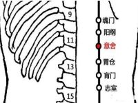 意舍疼痛是什么原因？意舍的准确位置图和作用