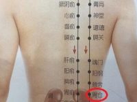 胃仓疼是怎么回事？胃仓的准确位置图和作用