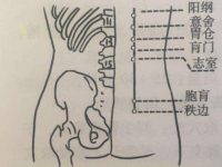 胞肓怎么读？胞肓的准确位置图和作用