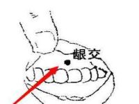 龈交穴的简易找法，龈交的准确位置图和作用