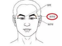 丝竹空的功效与作用，丝竹空的准确位置图