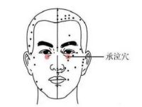 承泣四白的准确位置图和作用