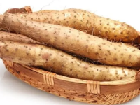 冬季补肾养生知识 冬季想补肾必吃的十种食物
