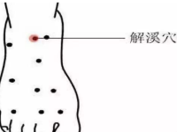 最简单的方法找解溪穴,解溪的准确位置图和作用 最简单的方法找解溪穴,解溪的准确位置图和作用
