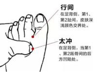行间穴的功效与作用，行间的准确位置图