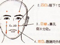 地仓穴怎么找？地仓准确位置图和作用