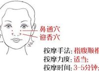 鼻通穴的功效与作用，鼻通的准确位置图