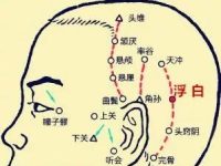 浮白穴怎么找？浮白的准确位置图和作用