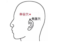 率骨穴的作用与功效，率骨的准确位置图