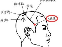 悬厘穴怎么找，悬厘的准确位置图和作用
