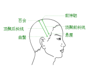 曲鬓穴在哪里？曲鬓的准确位置图片和作用