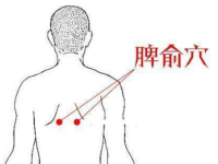 找脾俞穴的最简单的方法，脾俞的准确位置图和作用