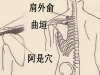 肩外俞穴的作用与功效，肩外俞的准确位置图