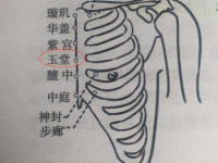 玉堂穴的最笨找法，玉堂的准确位置图片和作用