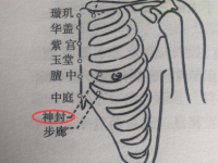 找神封穴的最笨方法，神封的准确位置图和作用