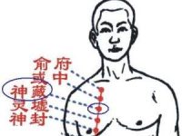 神藏穴的功效与作用，神藏的准确位置图