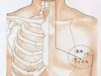 天池穴的最笨找法，天池的准确位置图和作用