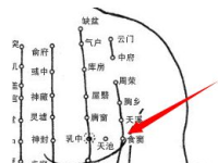 找食窦穴的最笨方法，食窦的准确位置图和作用