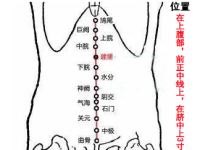 建里穴的最笨找法，建里的准确位置图和作用
