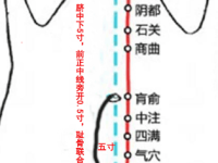 横骨穴的简易找法，横骨的准确位置图和作用