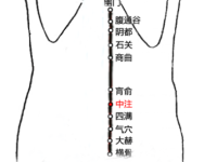中注穴怎么找？中注的准确位置图和作用