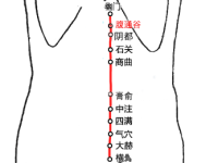 腹通谷穴的最笨找法，腹通谷的准确位置图和作用
