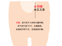阴廉穴的功效与作用，阴廉的准确位置图