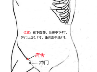 府舍穴怎么找？府舍的准确位置和功效