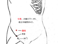 腹结穴怎么找最简单，腹结的准确位置图和作用