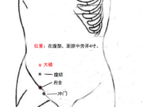大横穴的作用与好处，大横的准确胃位置图
