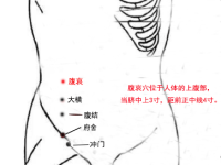 腹哀穴的作用与功效，腹哀的准确位置图