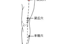 髀关简单找法，髀关的准确位置图和作用