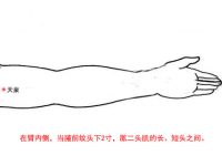 怎么找天泉穴最简单，天泉的准确位置图和作用