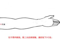 天府穴的简单找法，天府的准确位置图和作用