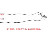 找侠白穴的最笨找法，侠白的准确位置图和作用