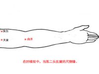 曲泽穴的最笨找法，曲泽的准确位置图和作用