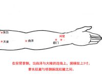 间使穴怎么找最简单，间使的准确位置图和作用