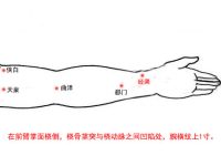 经渠穴的最笨找法，经渠的准确位置图和作用