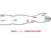 灵道穴的定位和主治,灵道的准确位置图和作用 灵道穴的定位和主治,灵道的准确位置图和作用
