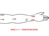 通里穴的作用与功效，通里的准确位置图