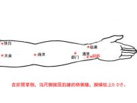 阴郄怎么读？阴郄穴的准确位置和作用