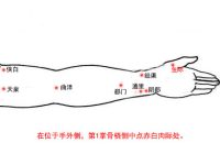 找鱼际穴的最笨方法，鱼际的准确位置图和作用
