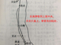 秉风穴的简单找法，秉风的准确位置图和作用