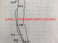 肩髎穴的简单找法，肩髎的准确位置图和作用