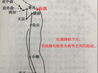 最笨找肩髃穴的方法，肩髃的准确位置图和作用