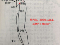 臑俞怎么读？臑俞穴的准确位置图和作用