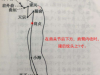 肩贞穴的最笨找法，肩贞的准确位置图和作用