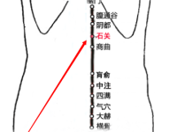 石关穴的作用与功效，石关的准确位置图片