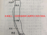 巨骨穴的简单找法,巨骨的准确位置图和作用 巨骨穴的简单找法,巨骨的准确位置图和作用